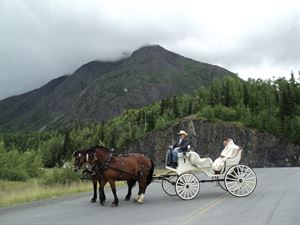 Horse-Drawn Carriage