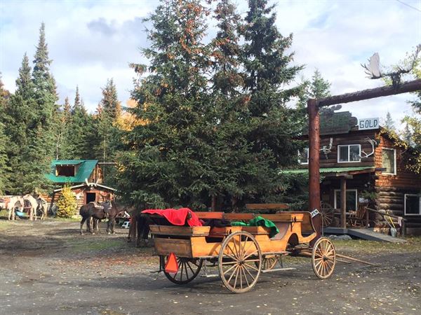 Alaska Horsemen Trail Adventures