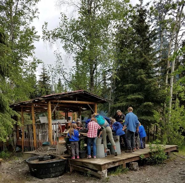 Alaska Horsemen Trail Adventures