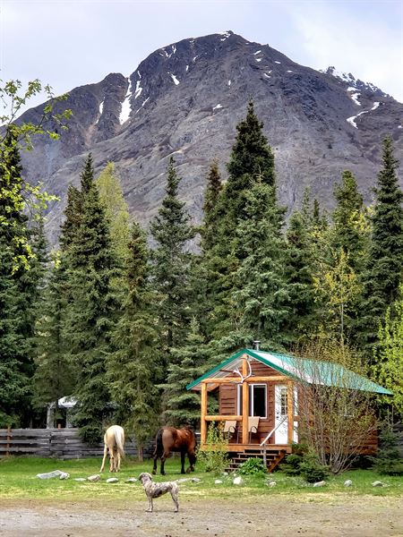 Alaska Horsemen Trail Adventures
