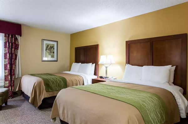 Comfort Inn Columbia Bush River