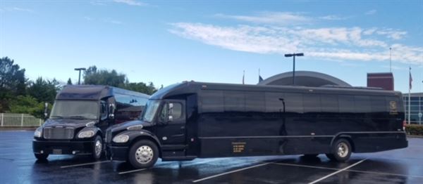 Freedom Excursions by Scully