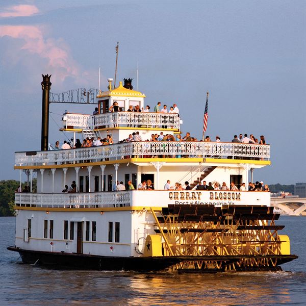 City Cruises Alexandria