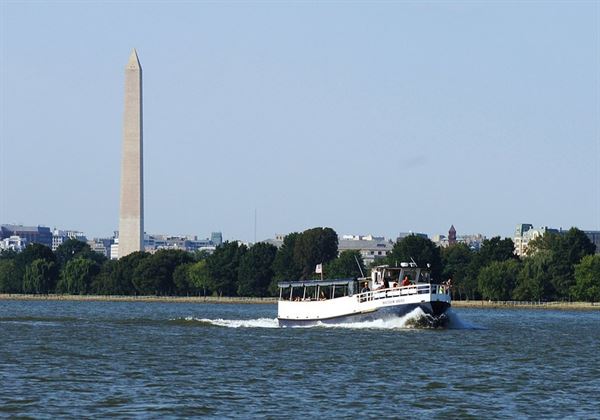City Cruises Alexandria
