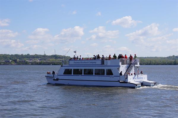 City Cruises Alexandria