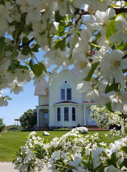 Country Hermitage Bed And Breakfast