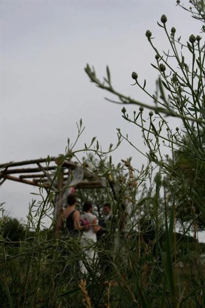 Country Hermitage Bed And Breakfast