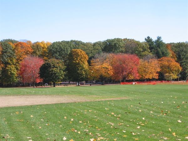 Frank Newhall Look Park