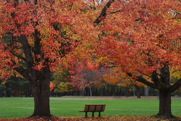 Frank Newhall Look Park