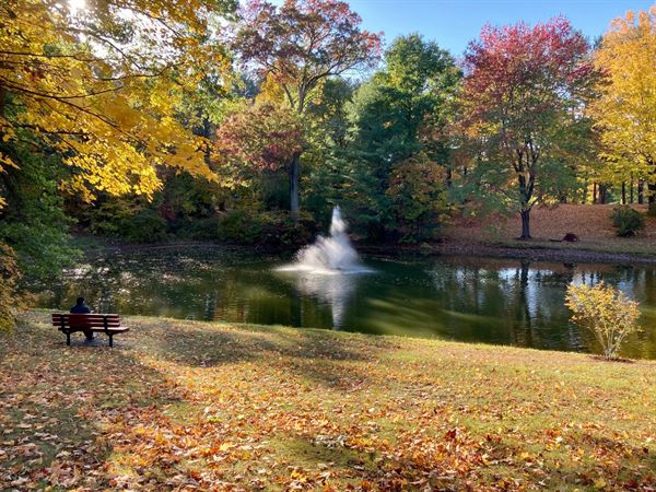 Frank Newhall Look Park