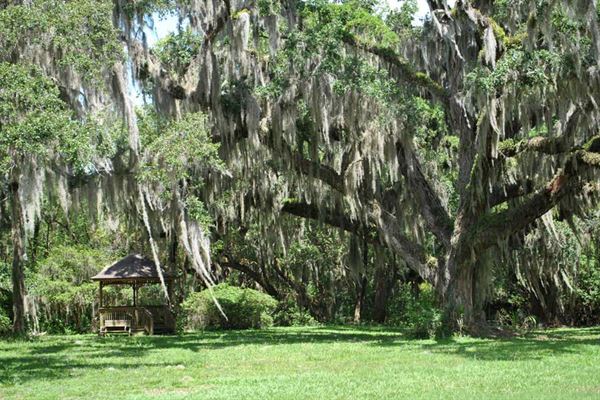 Chinsegut Hill Retreat