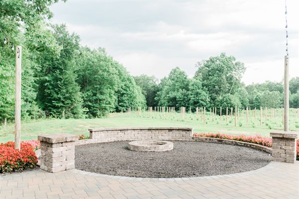 Saudé Creek Vineyards