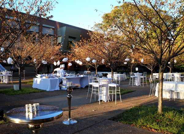 Vanderbilt University