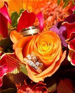 Luciddream Photography