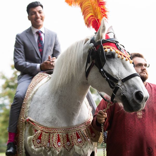 Stephen Alvarado Photography