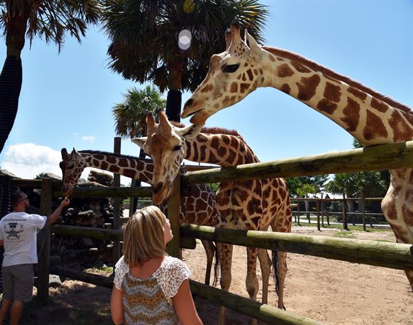 Gulf Breeze Zoo