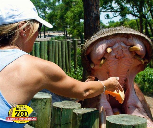 Gulf Breeze Zoo