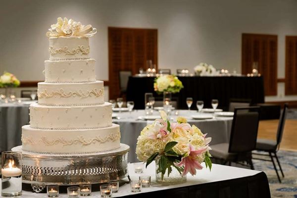 Embassy Suites Dallas - DFW Airport North Outdoor World