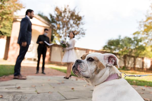 Chris Ferenzi Photography