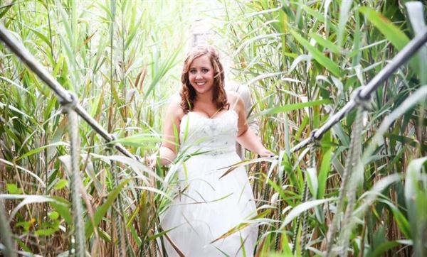 Giving Tree Wedding and Events