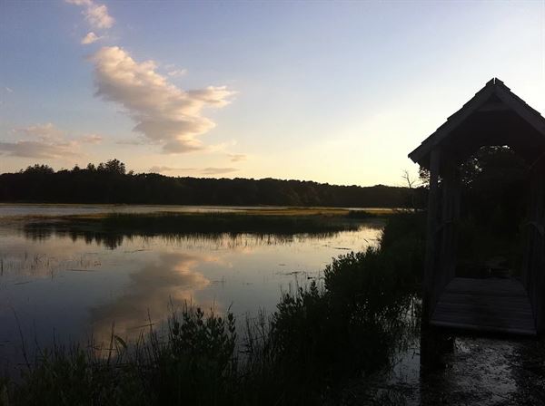 Giving Tree Wedding and Events