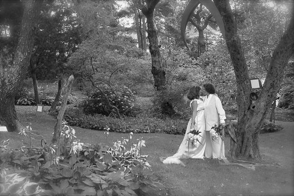 Giving Tree Wedding and Events