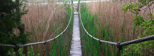 Giving Tree Wedding and Events