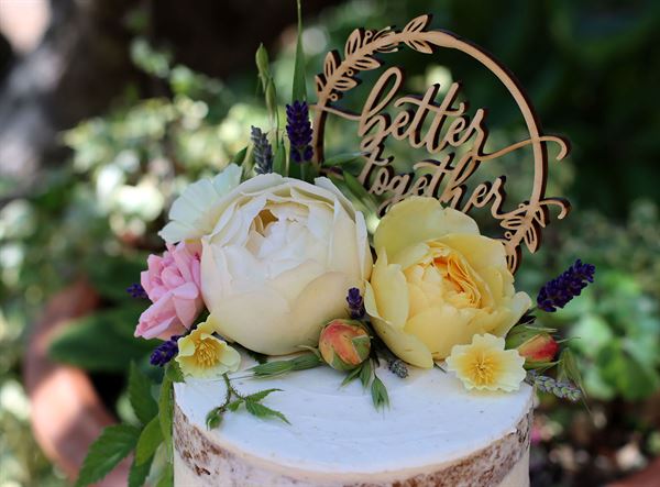 Tucker House Inn & Harrison House Suites