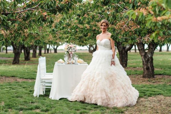 High Country Orchard