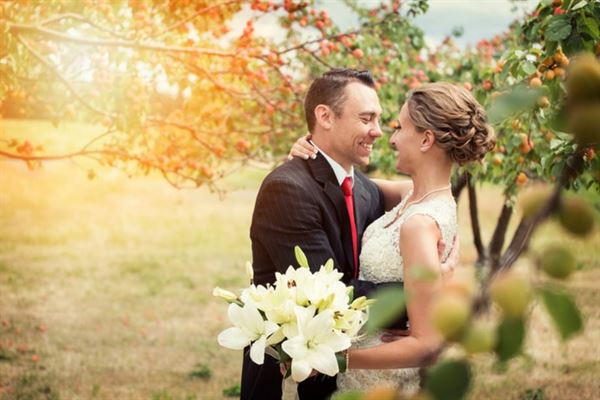 High Country Orchard