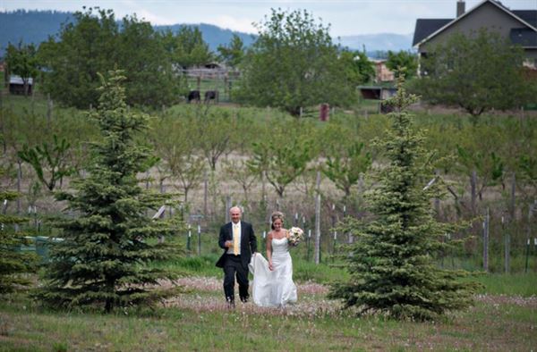 High Country Orchard