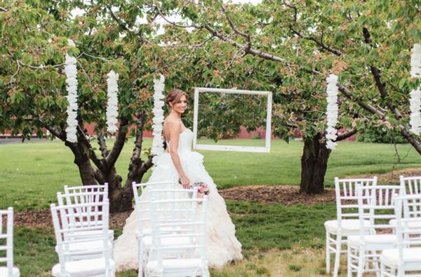 High Country Orchard