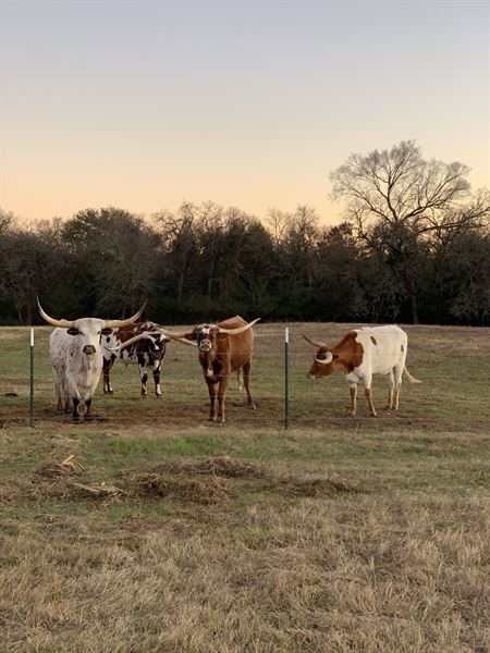 Circle C Barn Venue, LLC