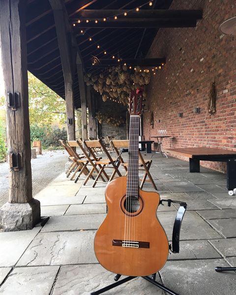 Austin Charnis Guitar