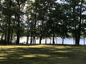 Outdoor Field and Tent