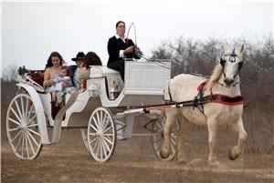 Lollypop Carriage Co.