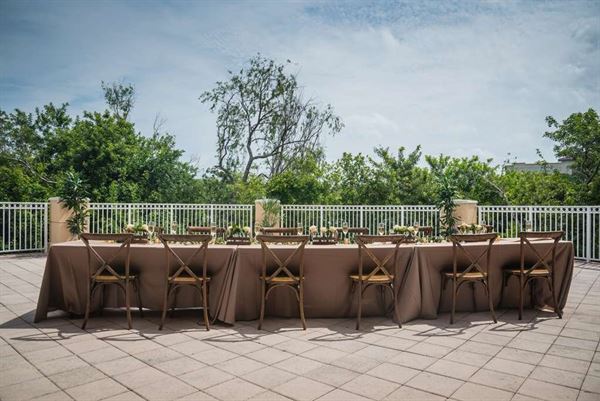 Hilton St. Petersburg Carillon Park