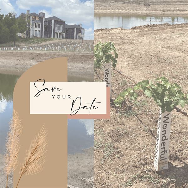 Bella Mansions - Sanger Mansion