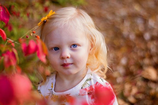 Honeycreek Photography