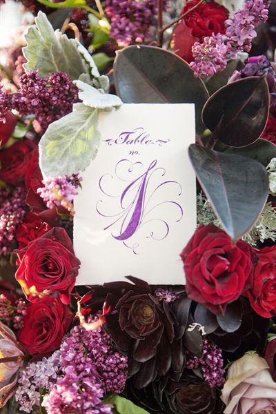 David Pressman Events