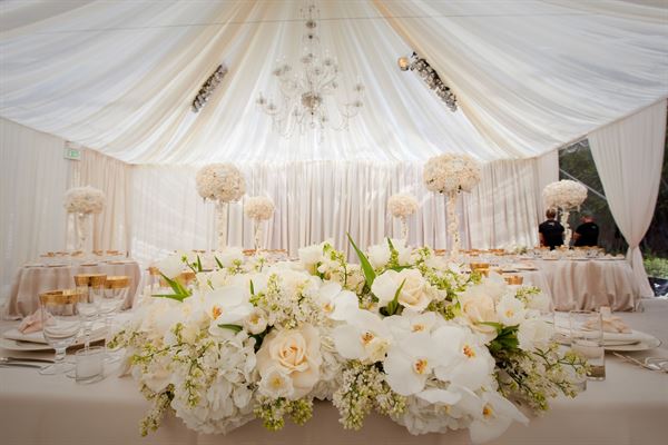 David Pressman Events