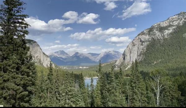 Weddings with Love......Weddings in English and Spanish