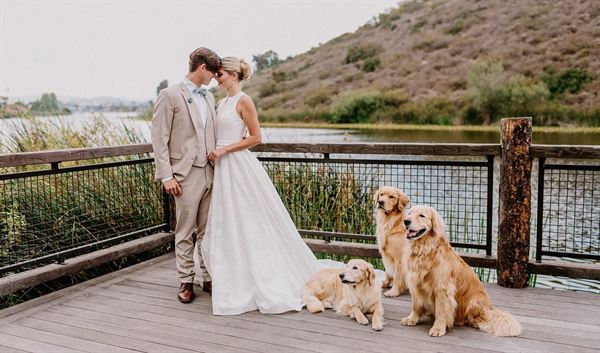 Lakehouse Hotel and Resort