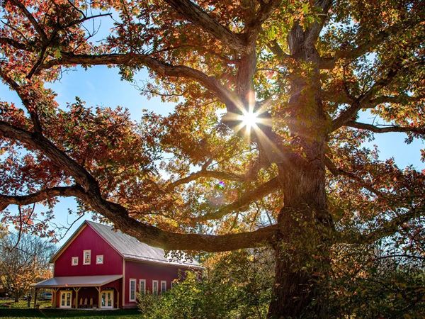 Ohio Wildlife Center