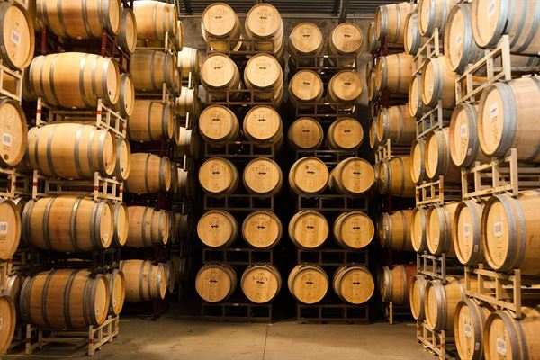 Canoe Ridge Vineyard