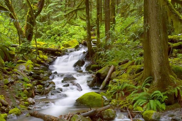 Manitou Lodge Bed & Breakfast