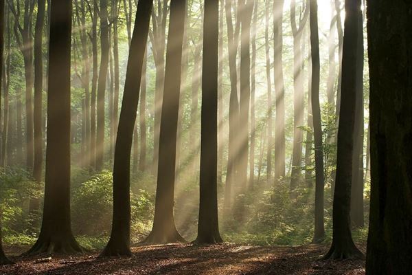 Manitou Lodge Bed & Breakfast