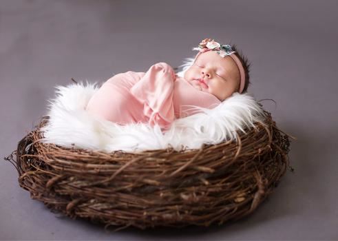 Little Owls Photography