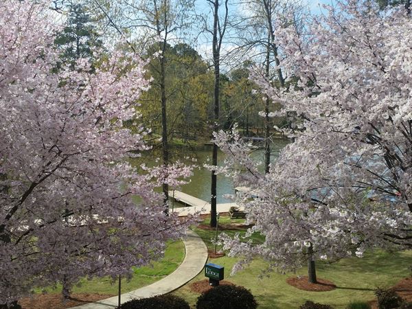 The Lodge On Lake Oconee