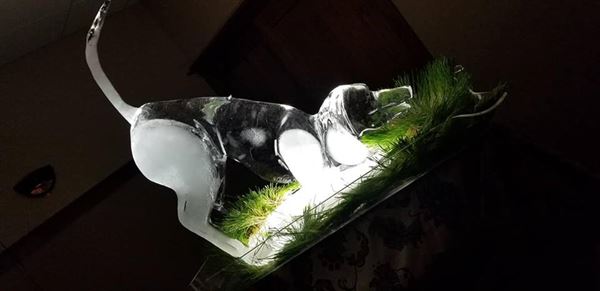 Culinary Concepts Cartering